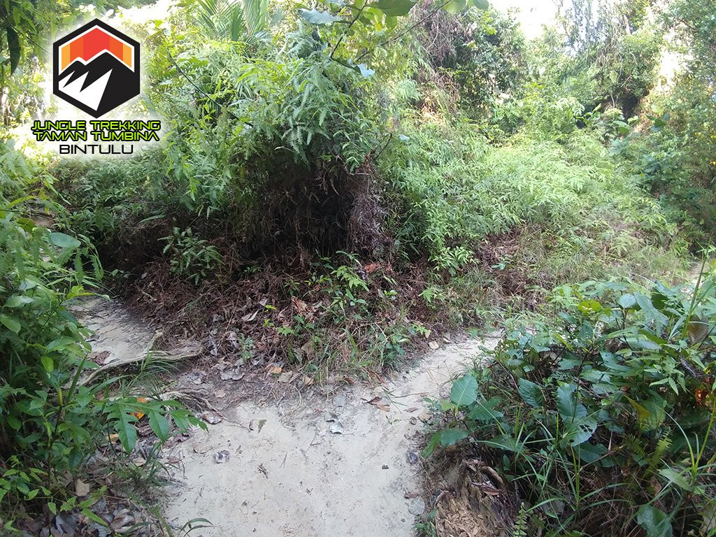 Jungle Trekking Taman Tumbina Bintulu-宾图卢必去景点