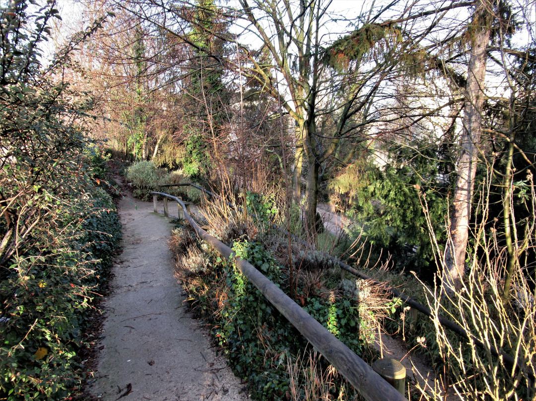 Parc de l'Abbaye景点图片