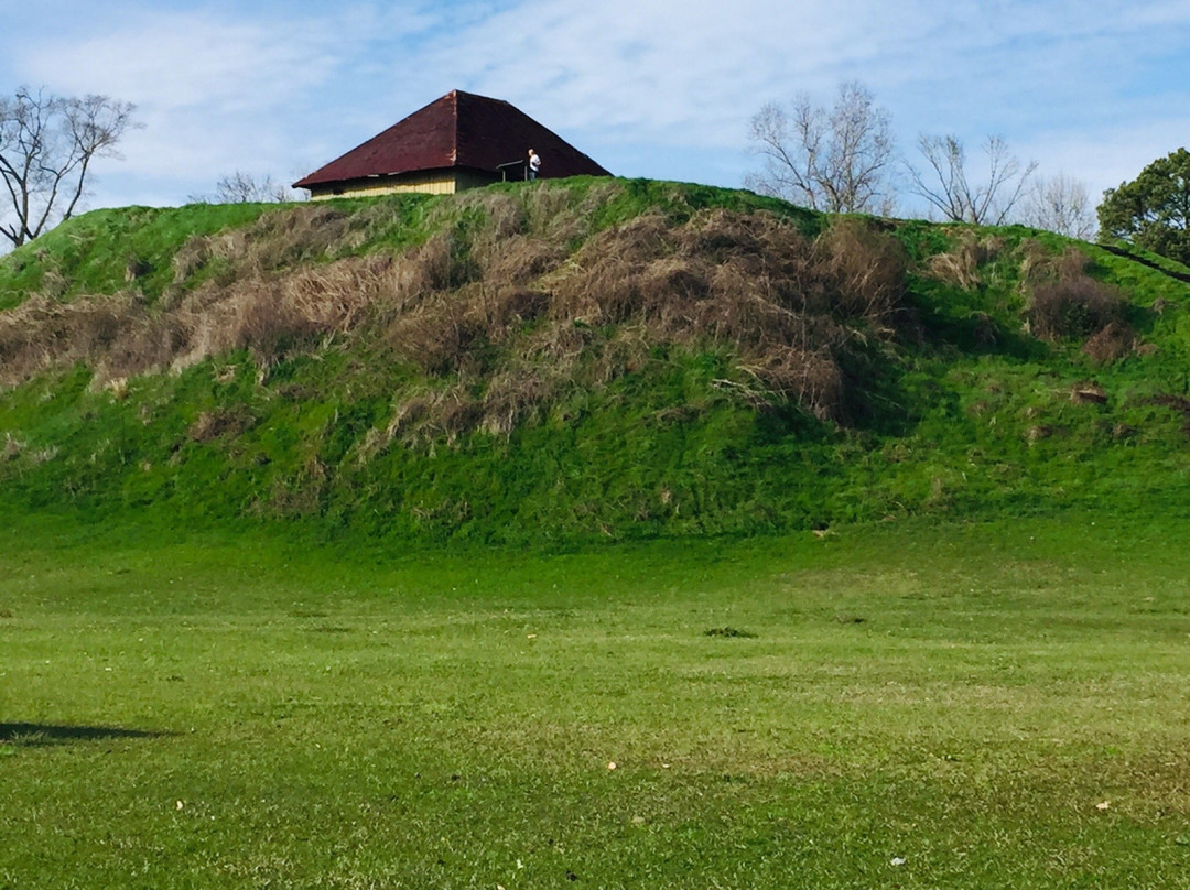 Moundville Archaeological Park景点图片