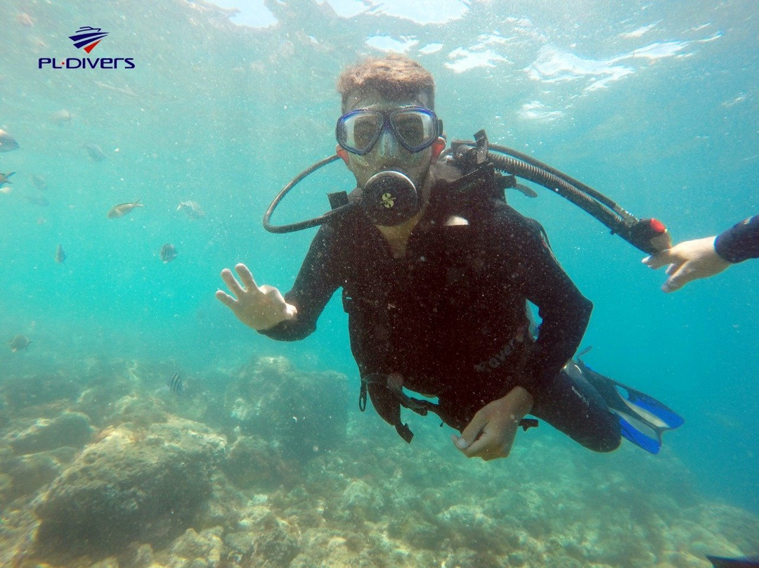 PL Divers-阿拉伊阿尔港必去景点