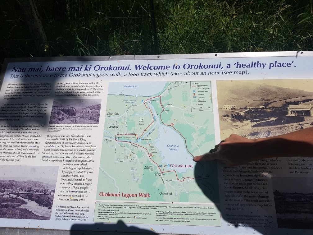 Orokonui Lagoon Walk-Waitati必去景点