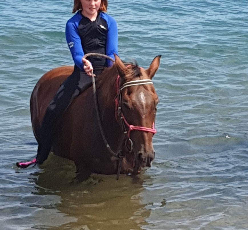 Horseshoe Bay Ranch-Horseshoe Bay必去景点