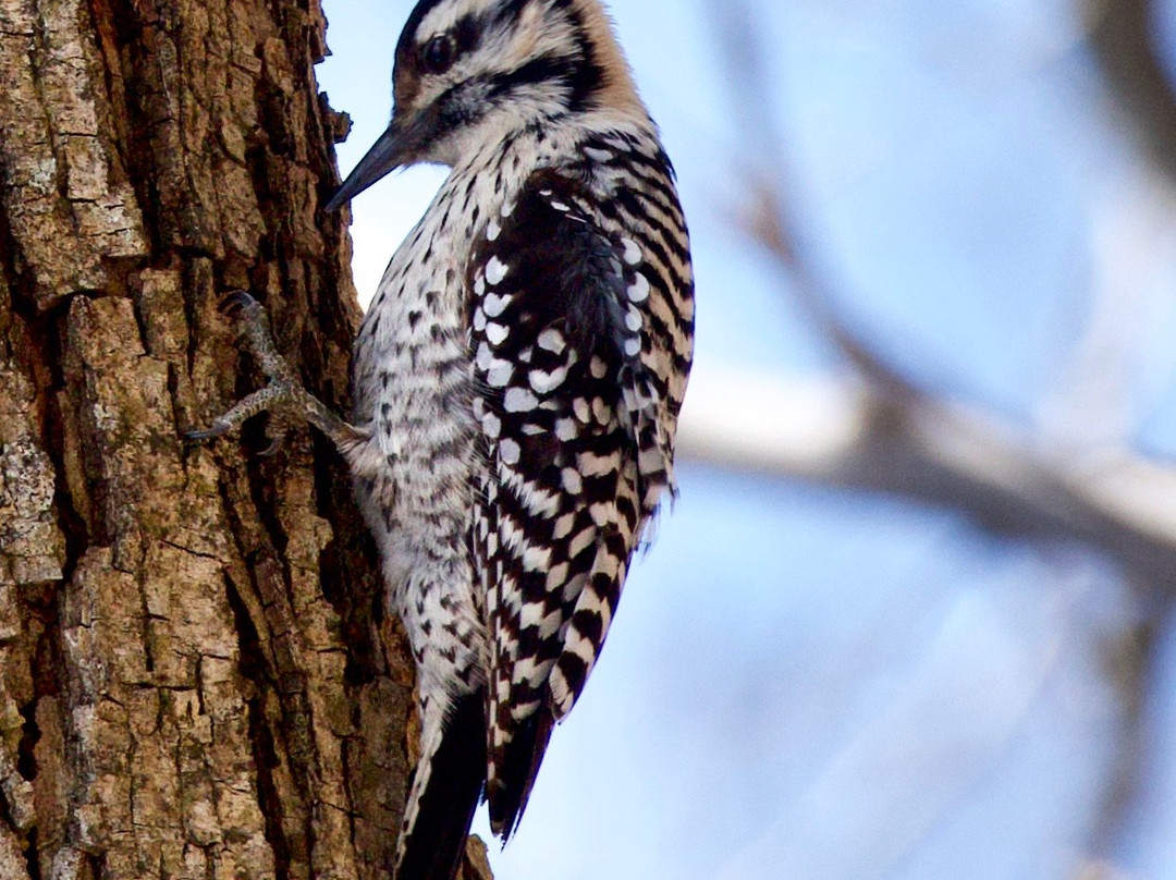 James Kiehl River Bend Park-Comfort必去景点