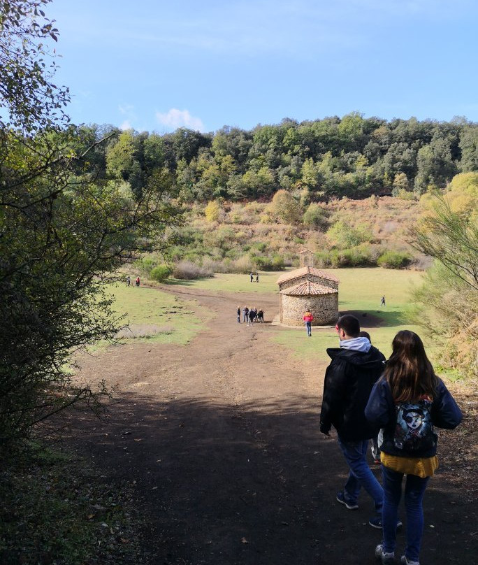 Volcán de Santa Margarida景点图片