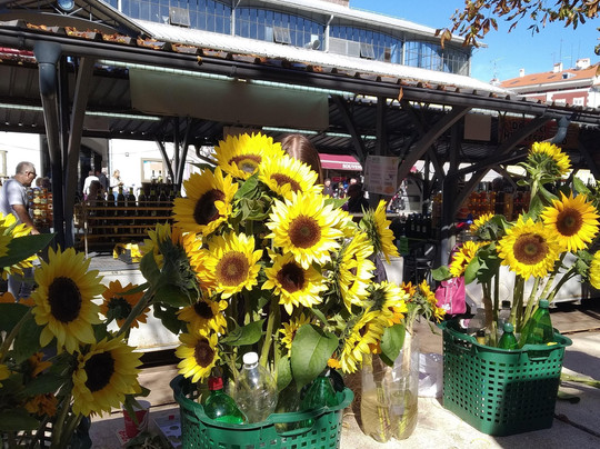 Ciao travel-tourist guide-普拉必去景点