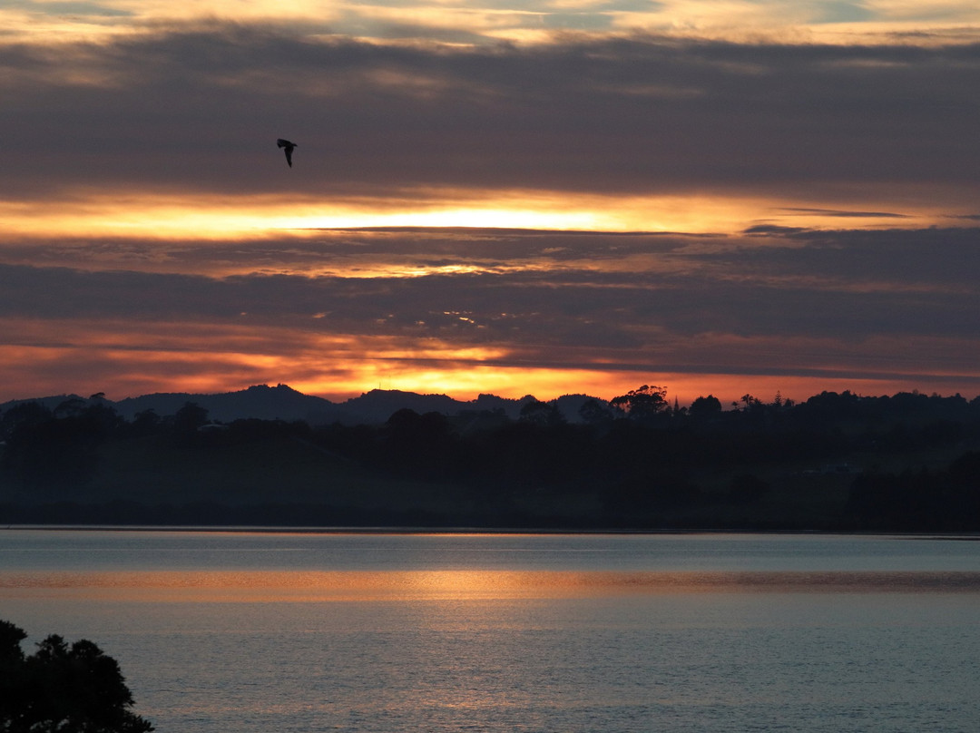 The Old Oak Boutique Hotel主图