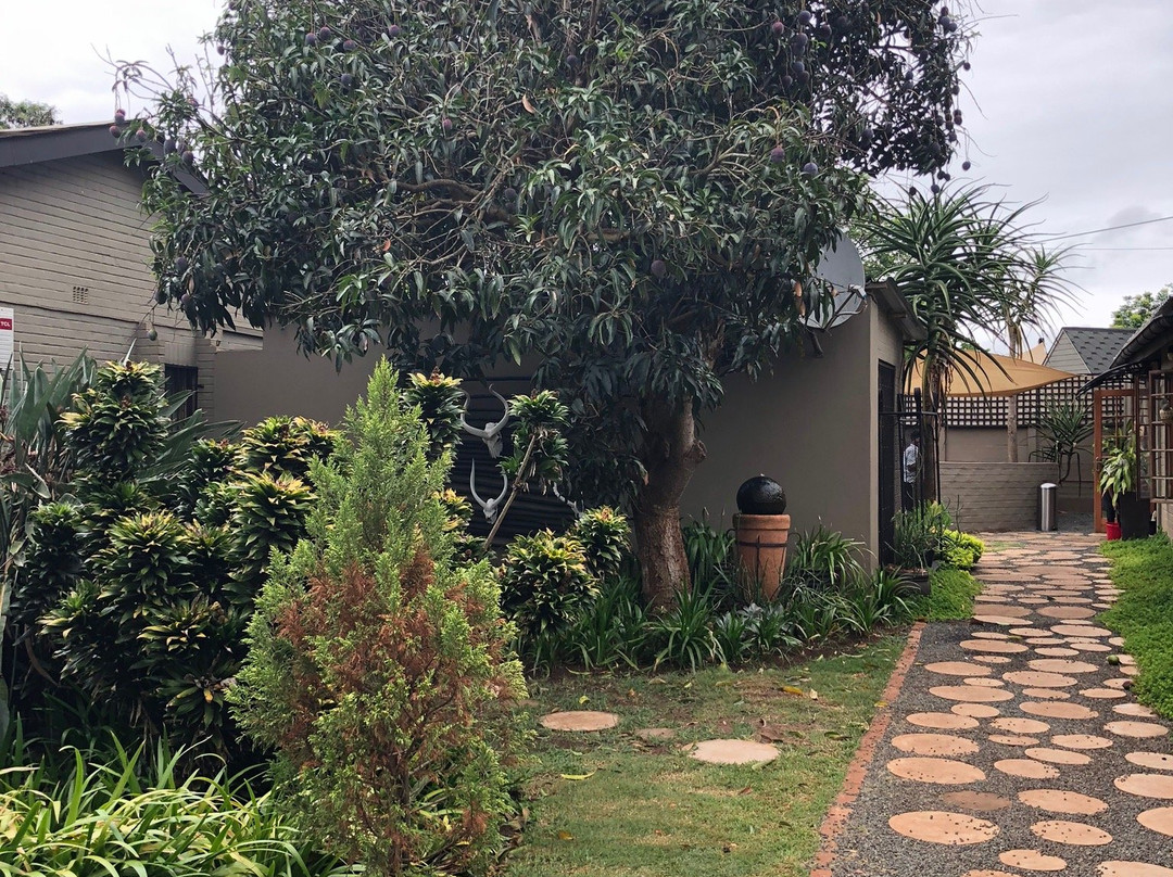 Ama Zulu Guesthouse And Safaris主图