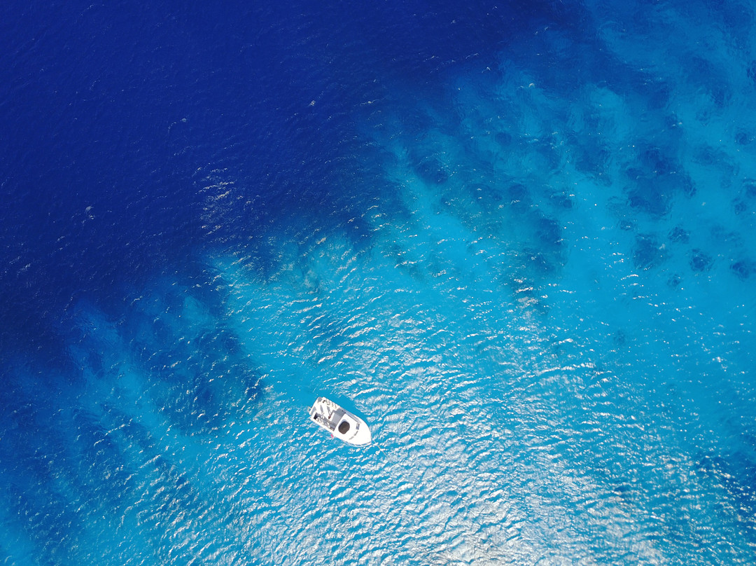 Aqua TCI-普罗维登西亚莱斯必去景点