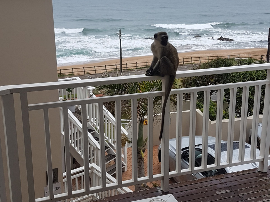 Fairlight Beach House主图