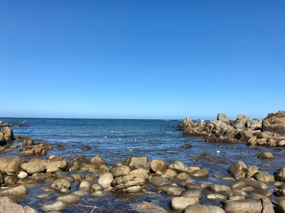 Abalone Guest House主图