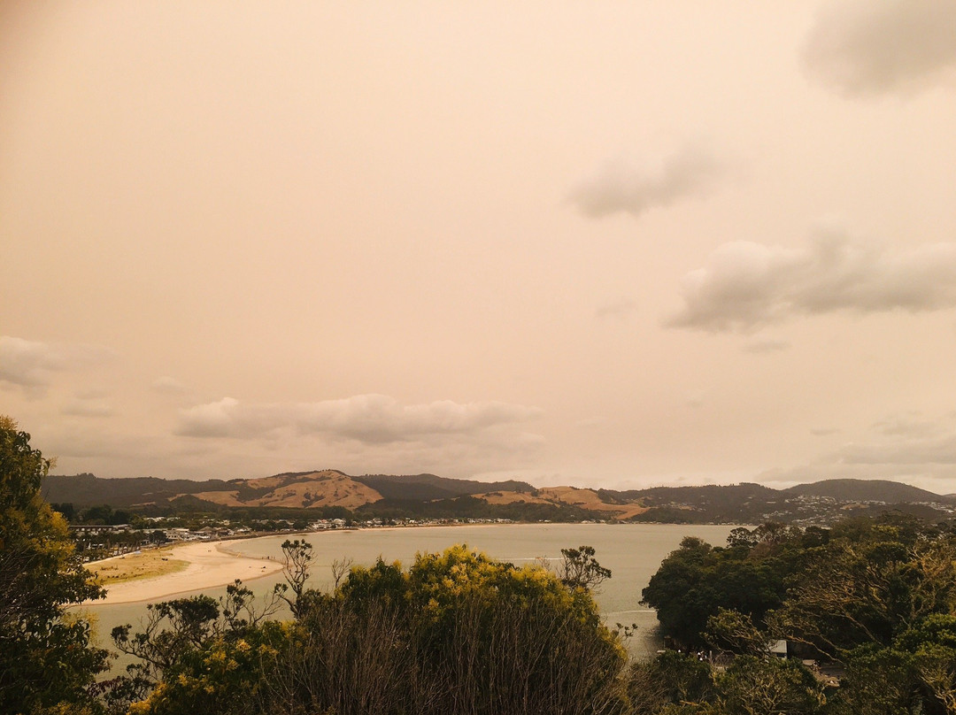 Whitianga Rock Walk景点图片