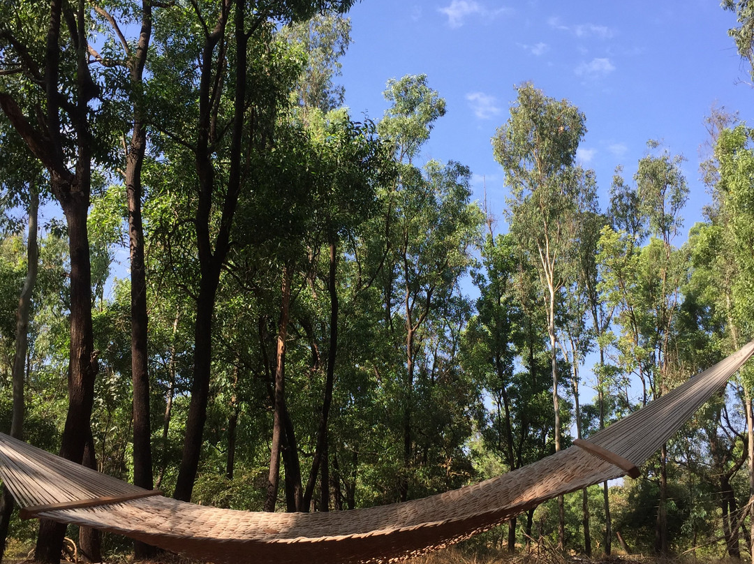 The Amba Resort主图