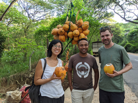 Only U Tours Sri Lanka-埃勒必去景点
