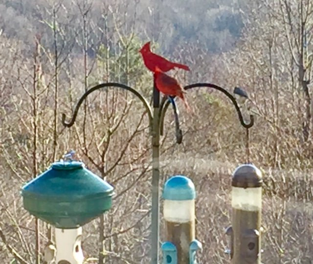 Orchard Inn & Spa主图