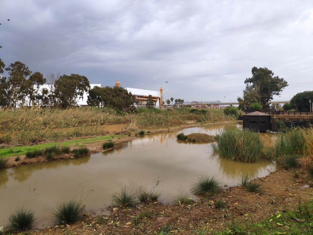 Givat Yonah-阿什杜德必去景点