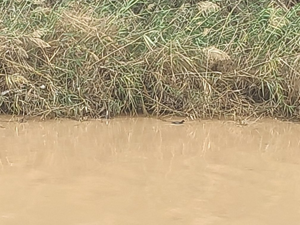 Givat Yonah-阿什杜德必去景点