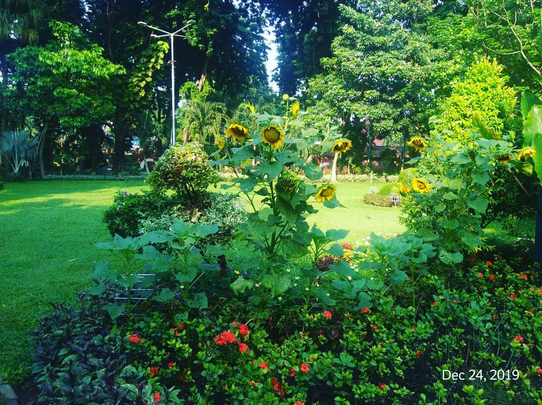 Bungkul Park-泗水必去景点