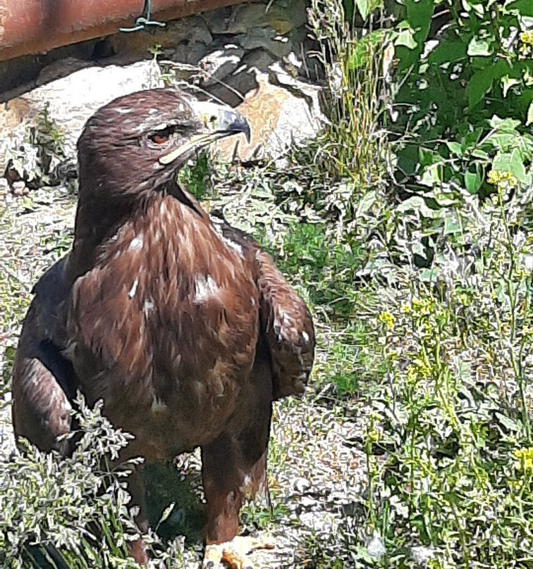 Chelyabinsk Zoo-车里雅宾斯克必去景点