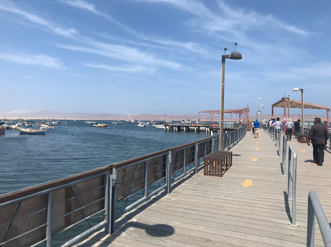 The Boulevarde-帕拉卡斯必去景点