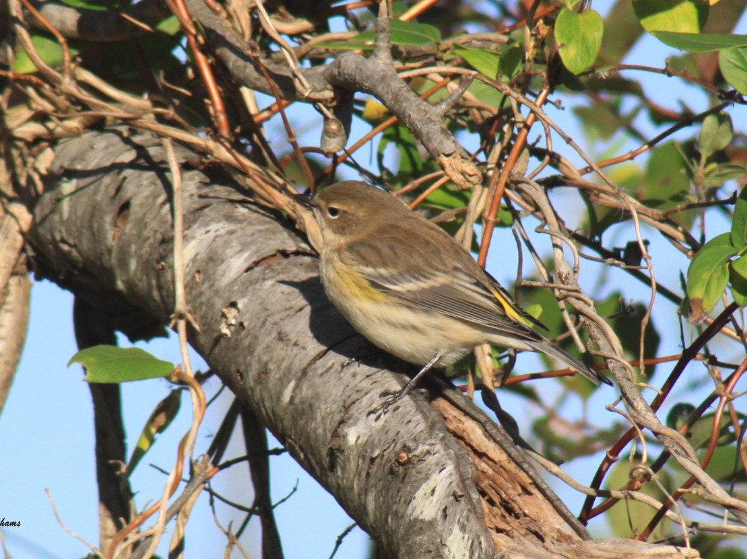 Jamaica Bay Wildlife Refuge Vstr. Cntr. - Gateway National Recreation Area-Far Rockaway必去景点