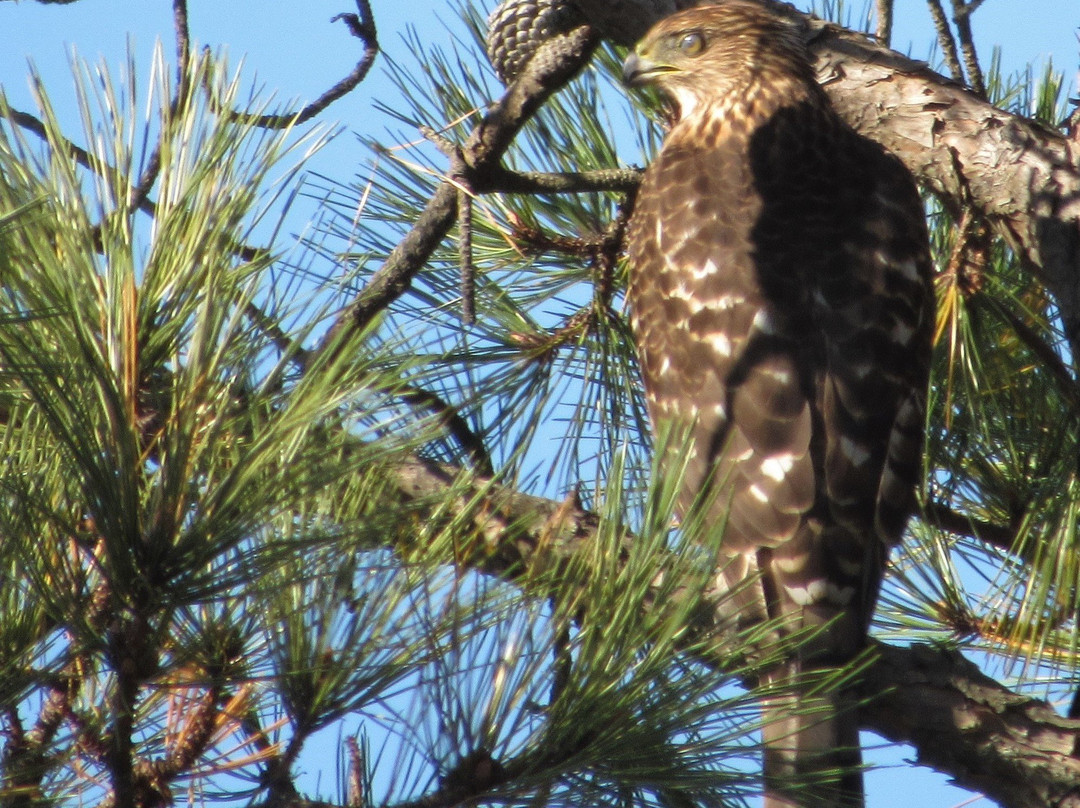 Marine Nature Study Area-Oceanside必去景点
