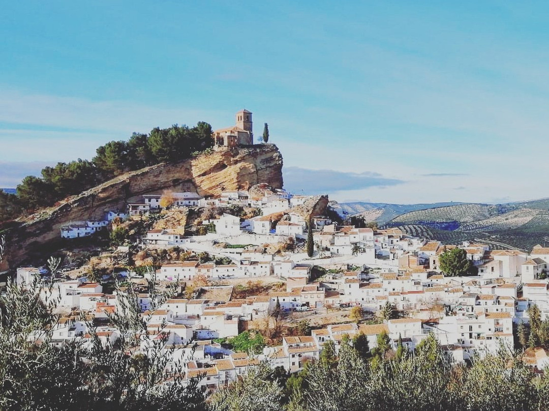 Mirador del Paseo-蒙特夫里奥必去景点
