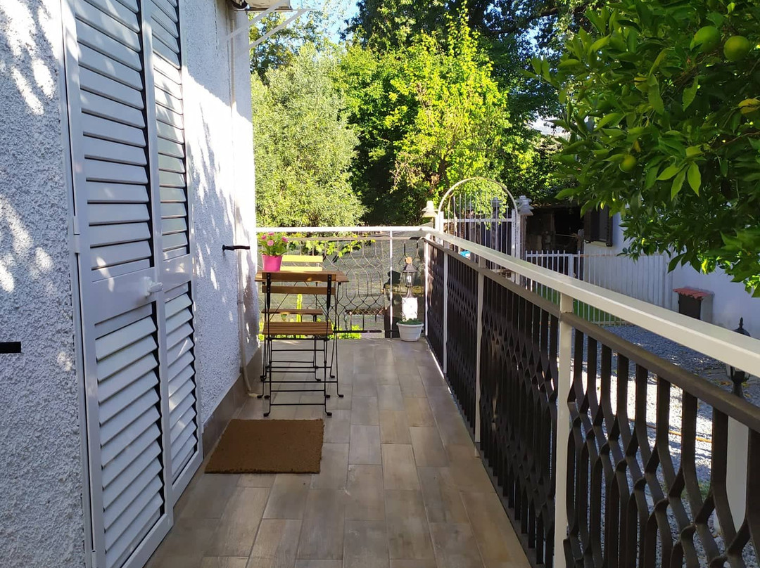 Le Donne Di Giannino主图