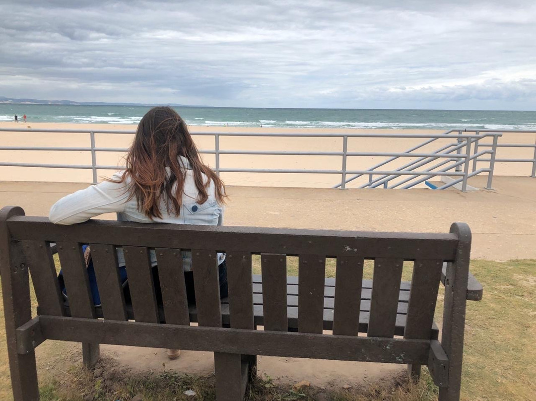 Dolphin Beach-杰佛瑞湾必去景点