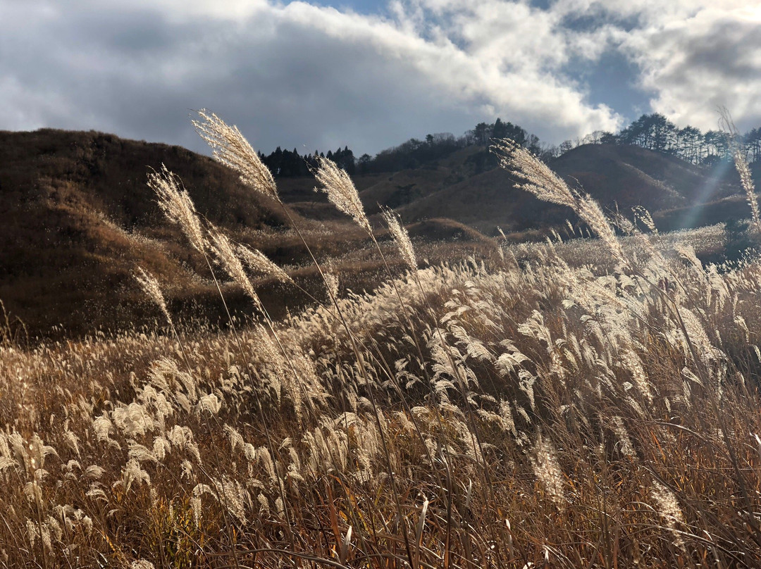 Toniomine Plateau-神河町必去景点