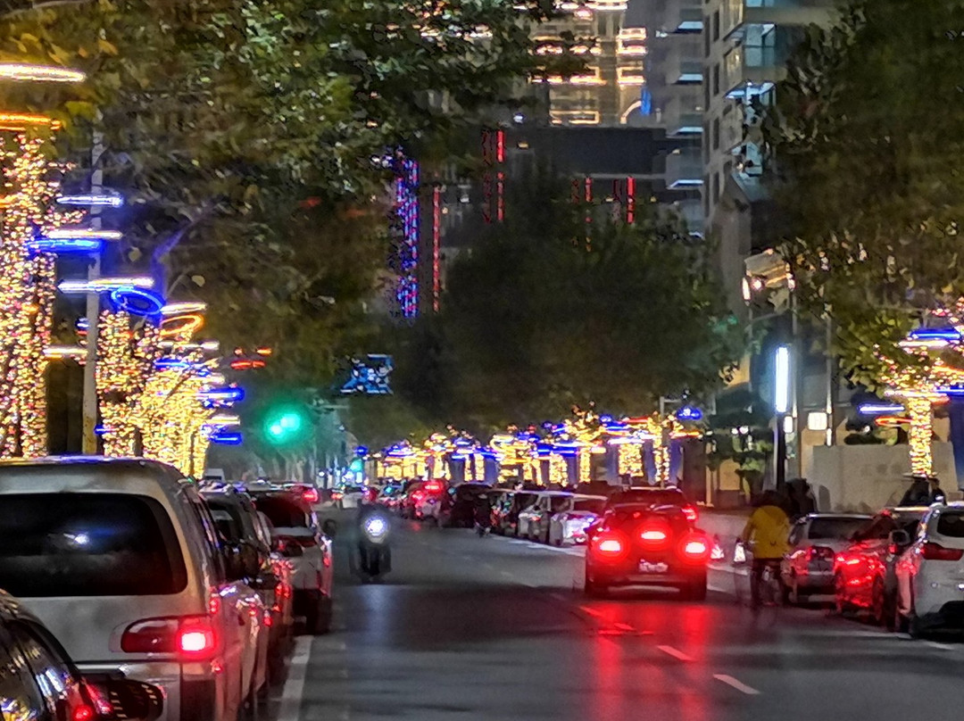 西北湖公园-武汉市必去景点