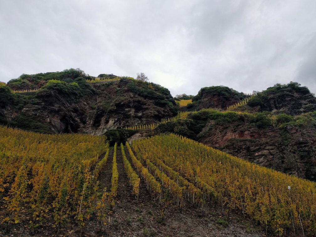 Weingut Rebenhof景点图片