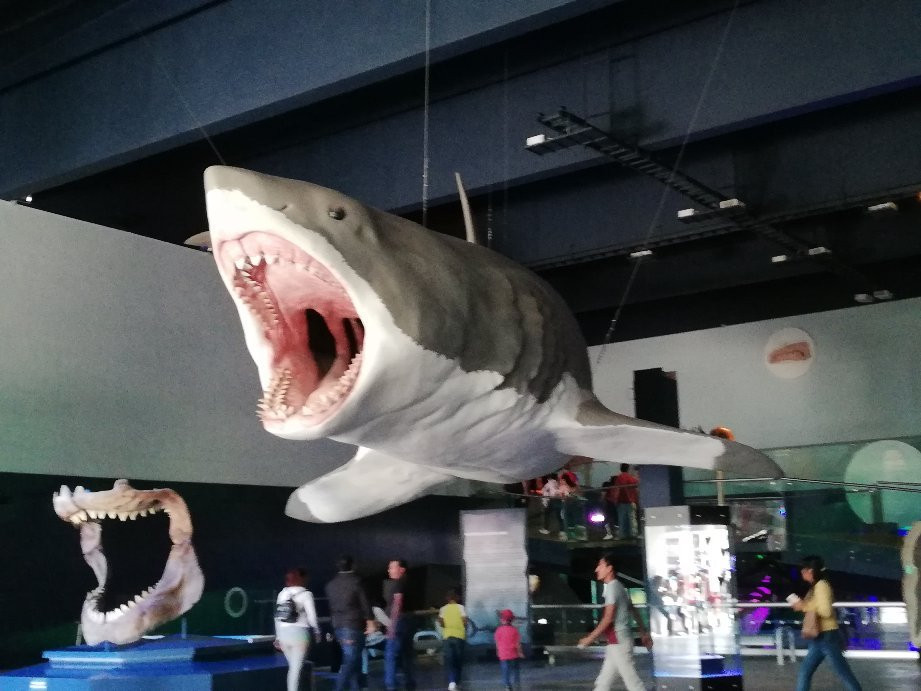 Museo de la Evolucion Puebla (Museum of Evolution Puebla)-普埃布拉必去景点