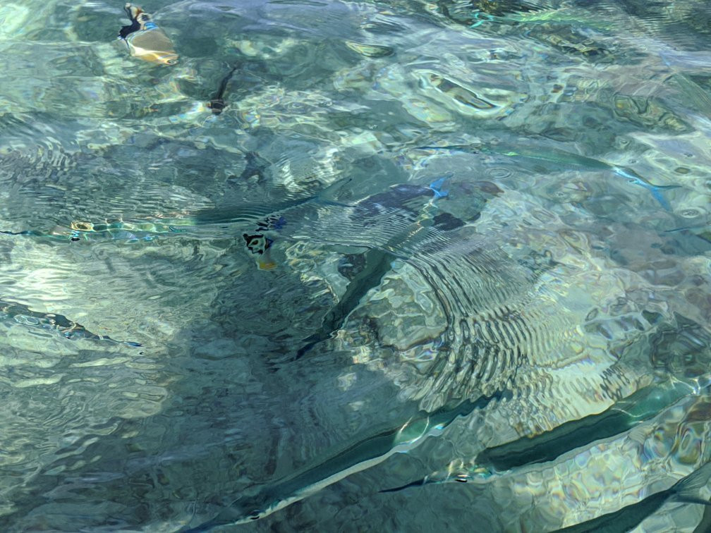 法伊法伊海滩-杜梦湾必去景点