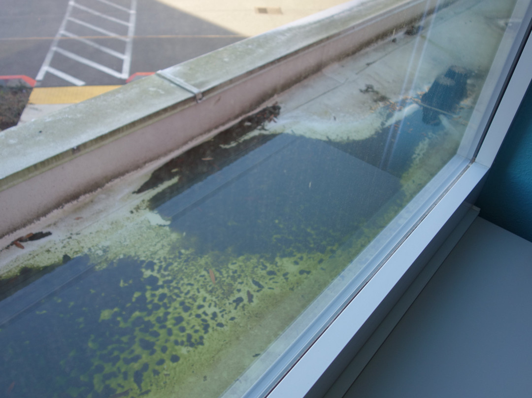 Home2 Suites by Hilton DuPont主图