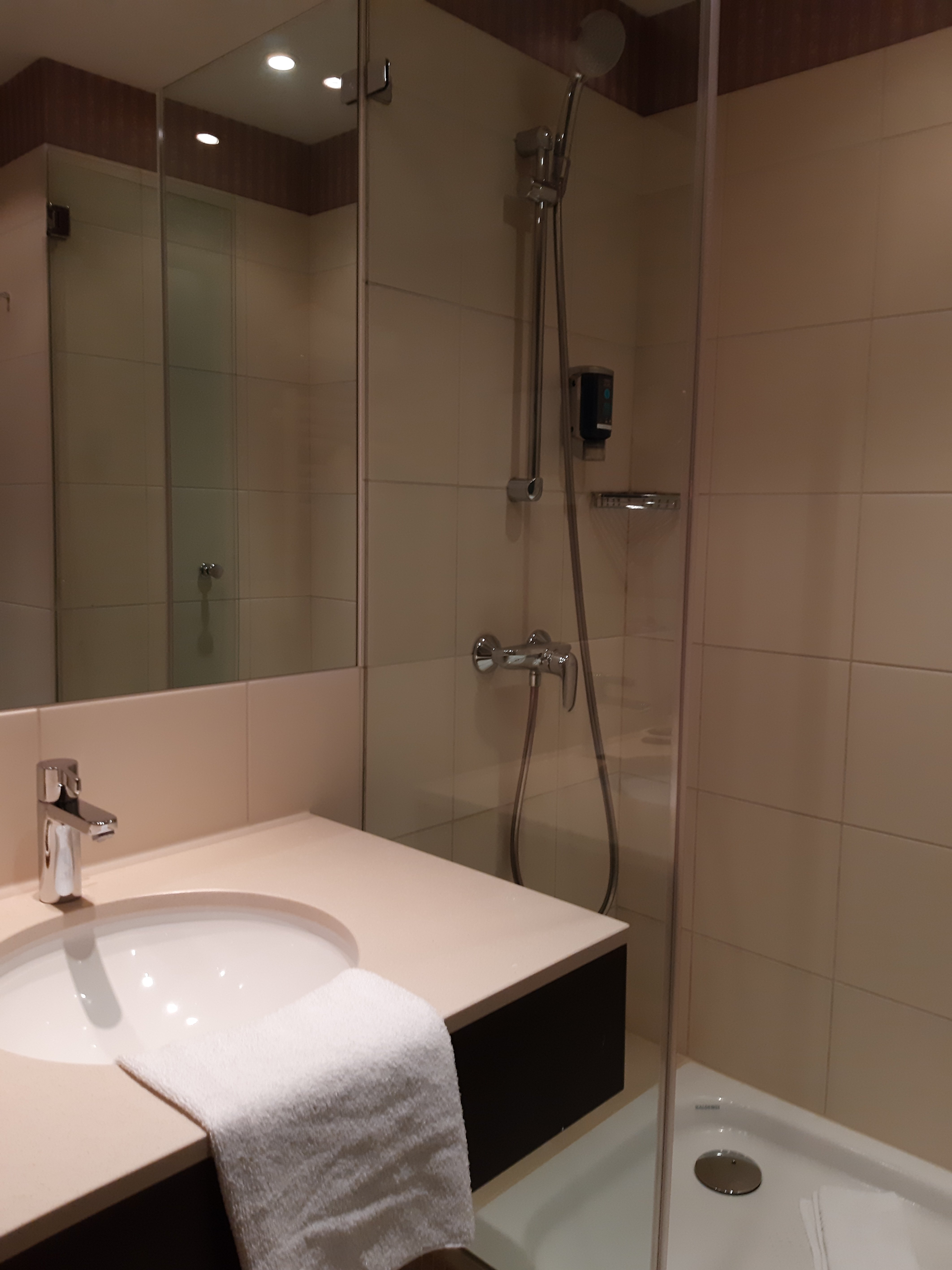 Novotel Karlsruhe City-浴室