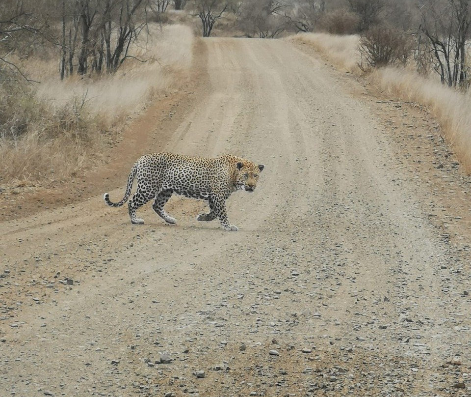 Inkosi Tours and Transfers-普马兰加省必去景点