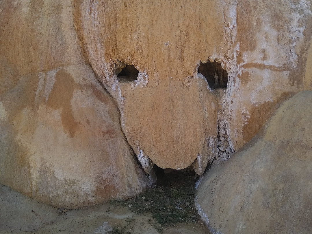 Geysers of Analavory景点图片
