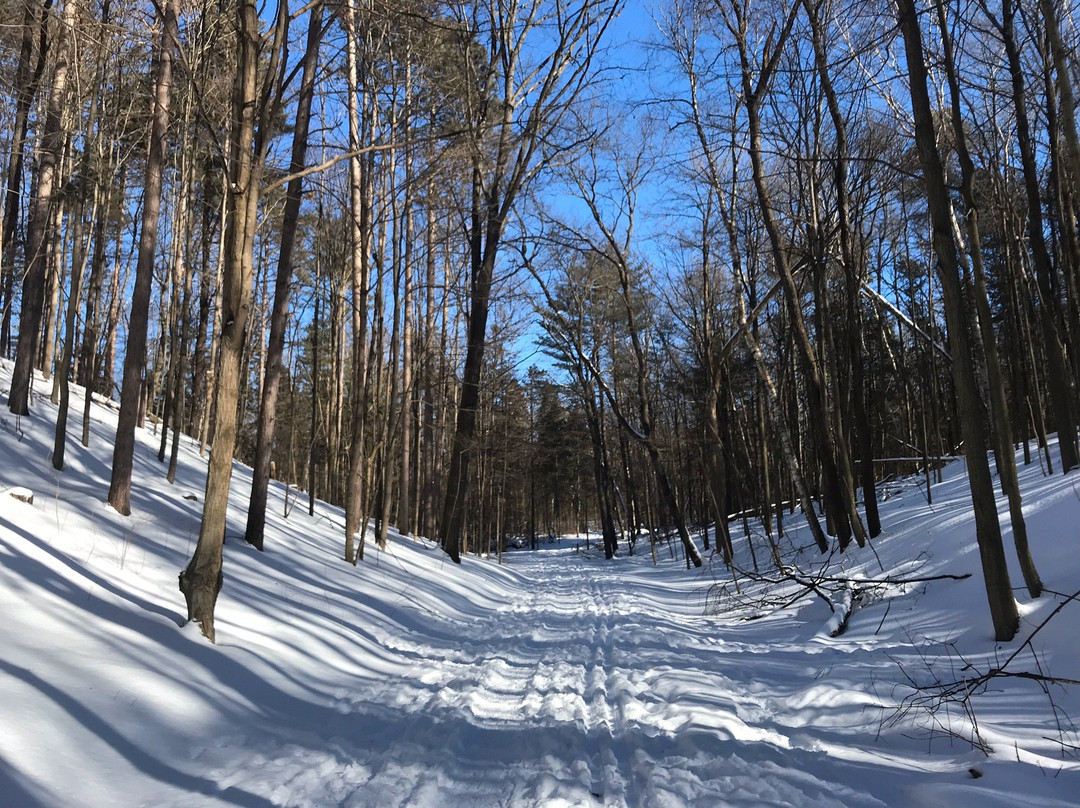 Durham Regional Forest-Uxbridge必去景点