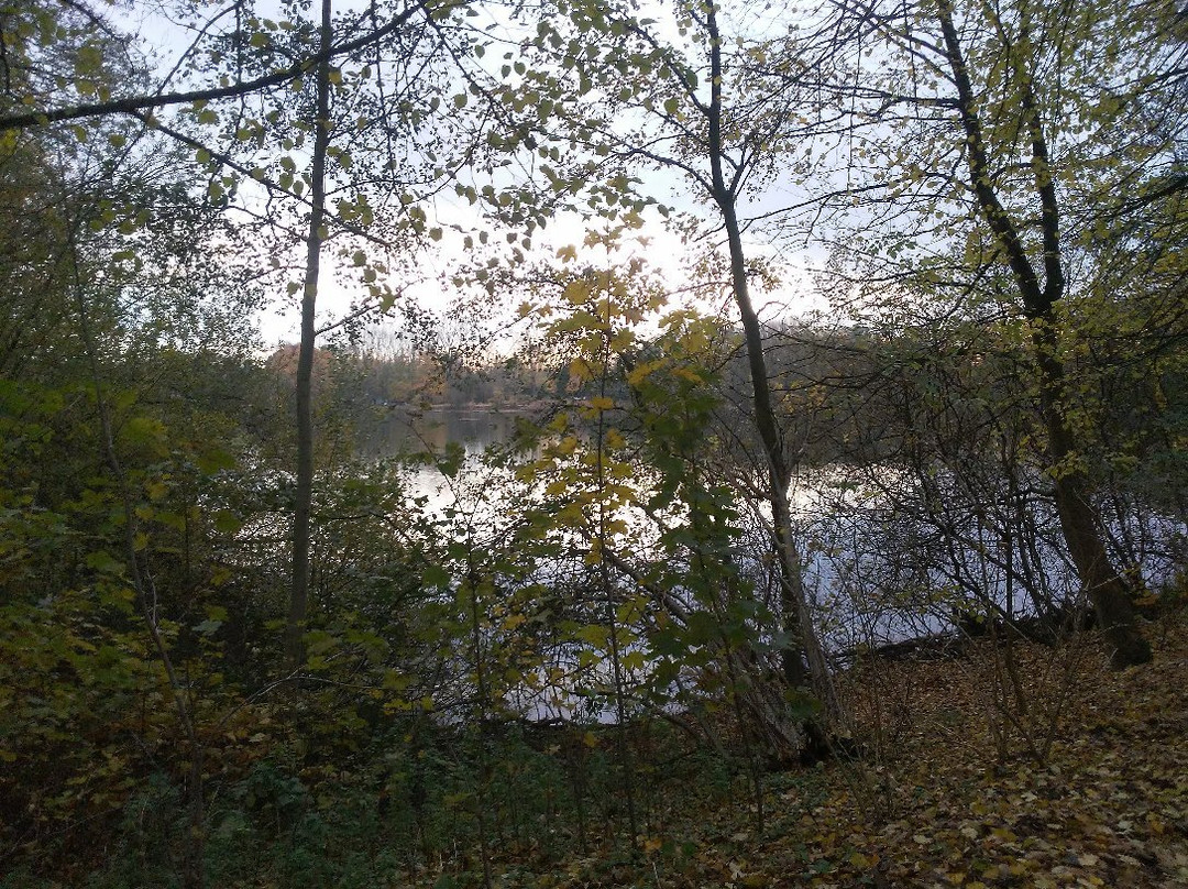 Hotel Restaurant Seerose Ug主图