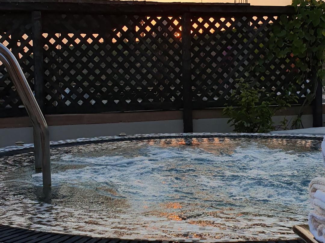 The Almond Tree主图