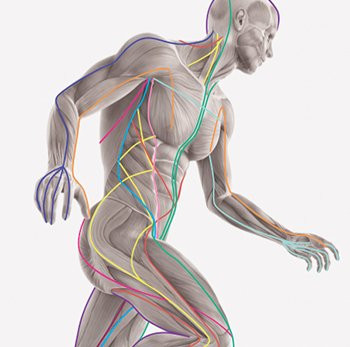 One Massage Holistic Center景点图片
