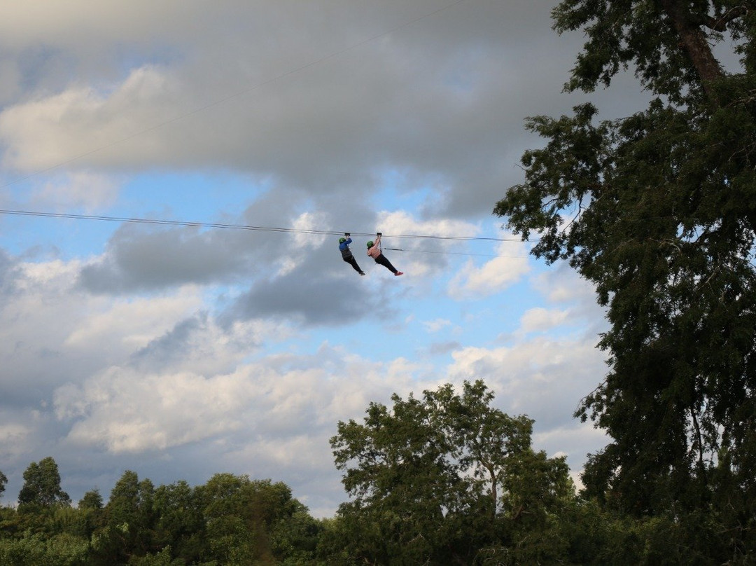 Canopy Lautaro-特木科必去景点