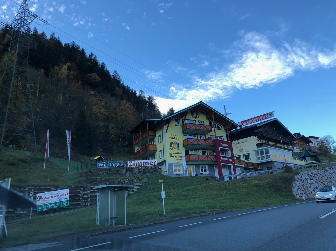 Goldegg酒店住宿-Hotel Gasthof  Posauner