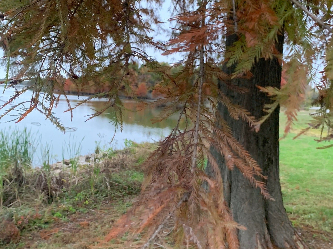 Mermet Lake State Fish and Wildlife Are-Belknap必去景点