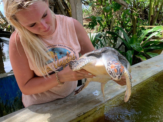 Mango Lanka Tours-卡卢特勒必去景点