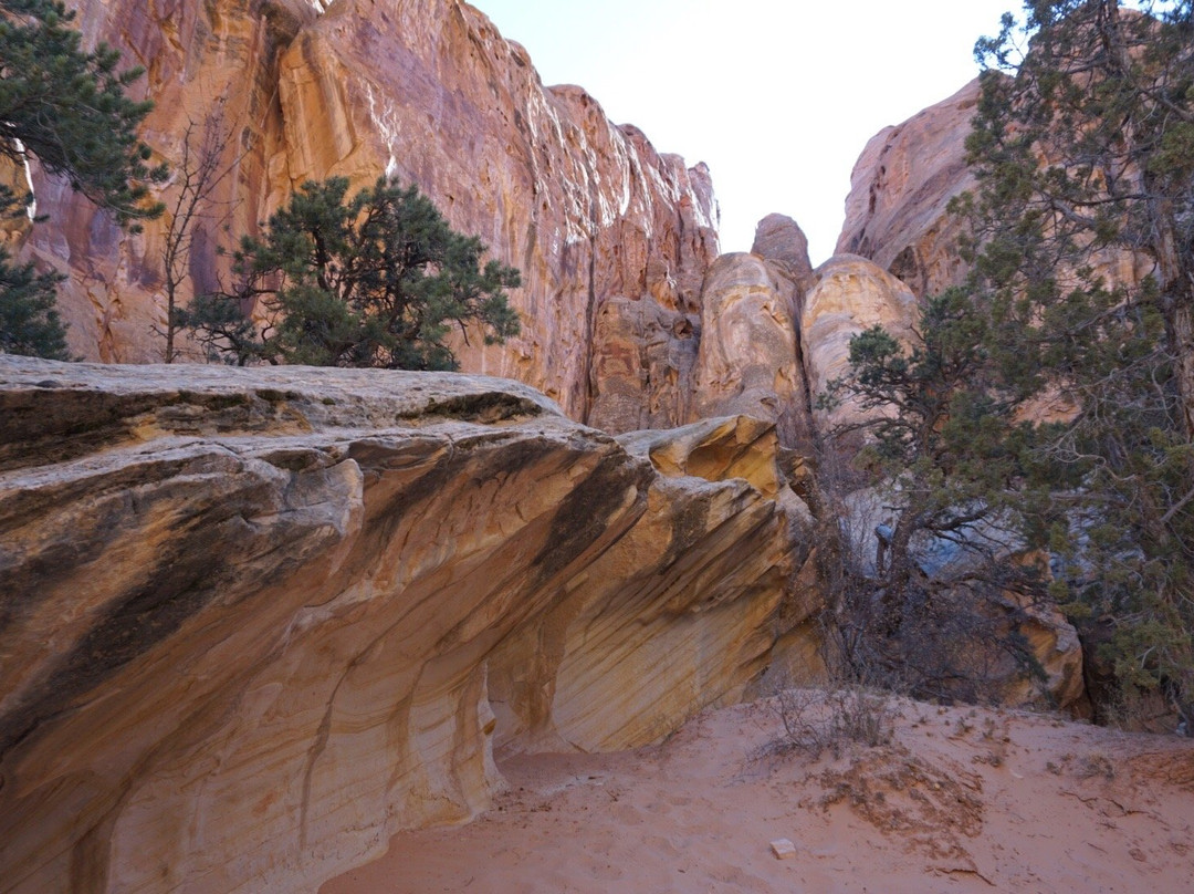 Cohab Canyon Trail景点图片