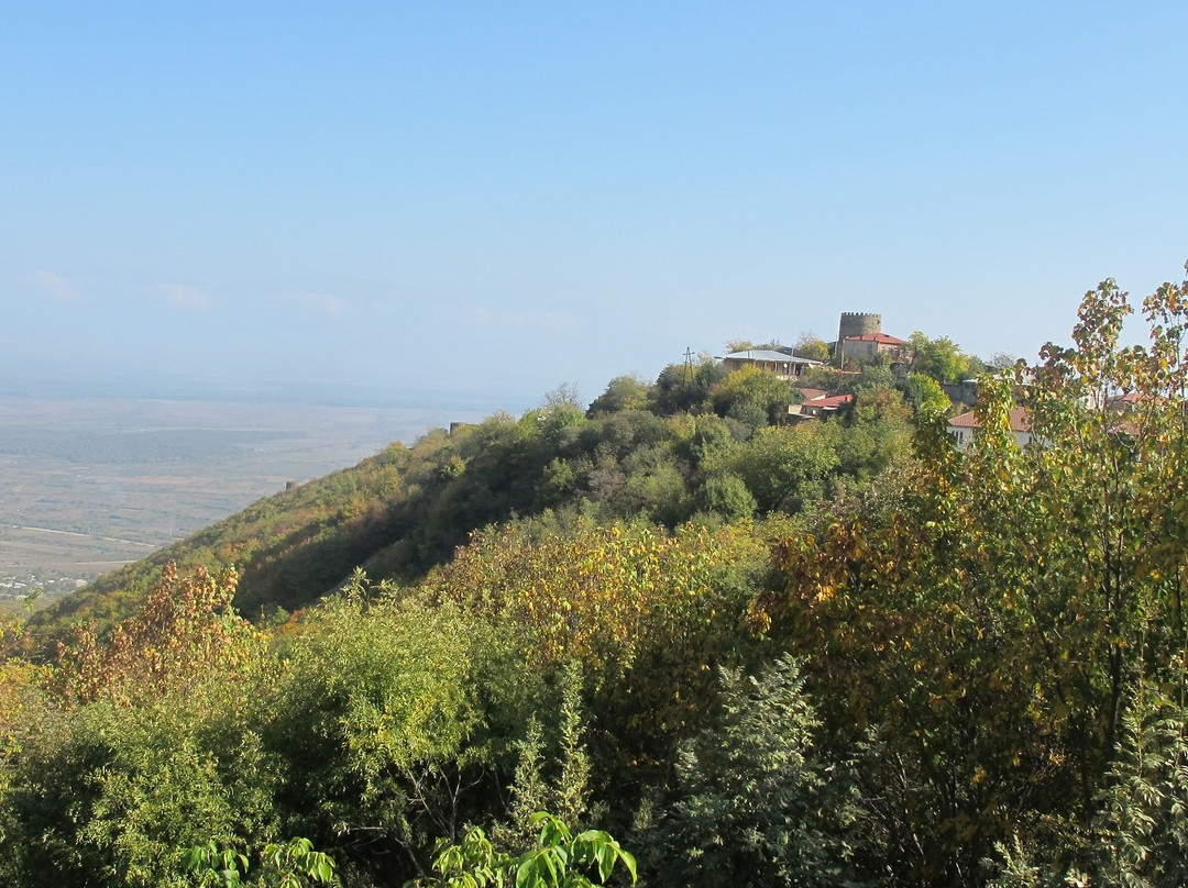 David Zandarashvili's Guesthouse主图