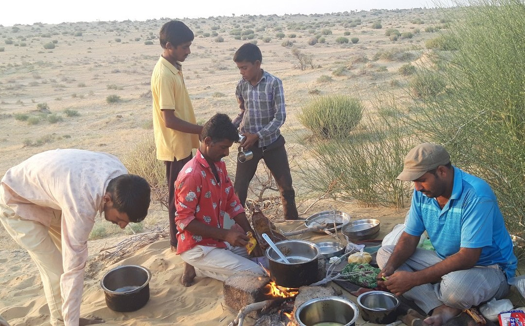 Kamals Private Camel Tour - Day Tours景点图片