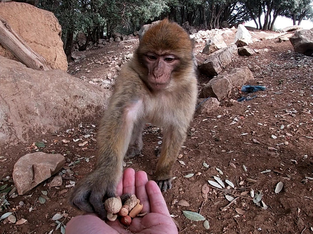 Viajes Baratos Marruecos-非斯必去景点