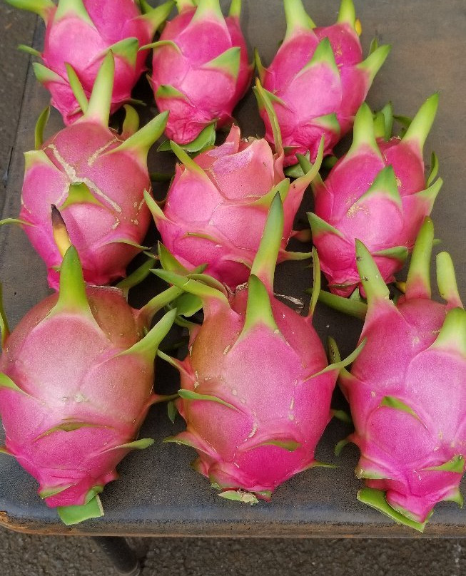 Koloa Monday Farmers Market-可洛亚必去景点